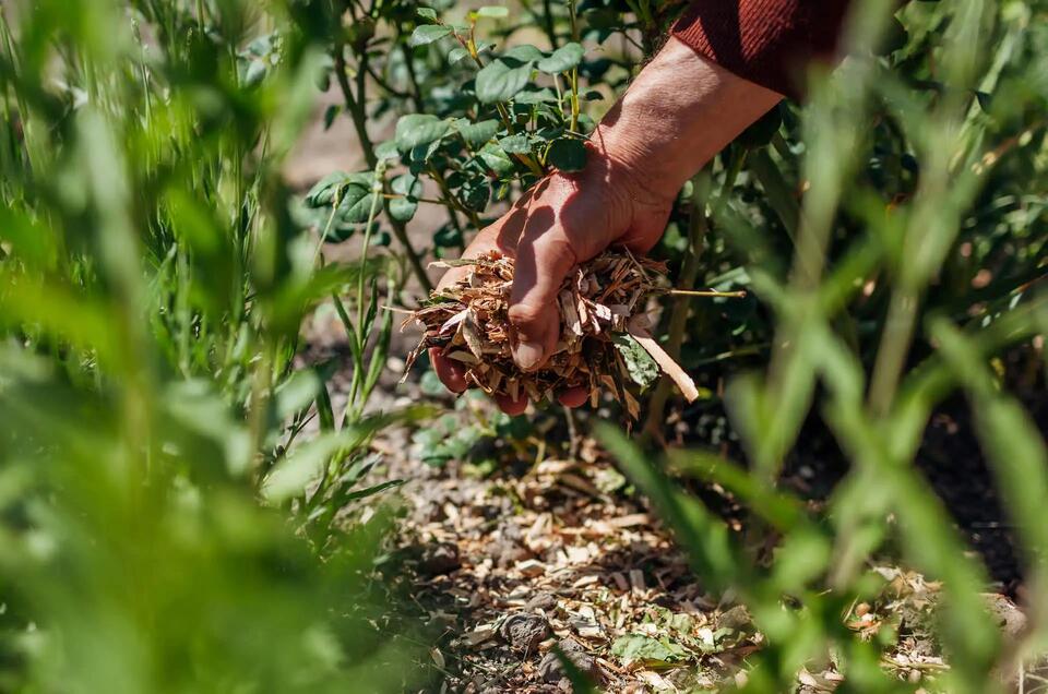 Mulch Mistake You’ll Regret Forever