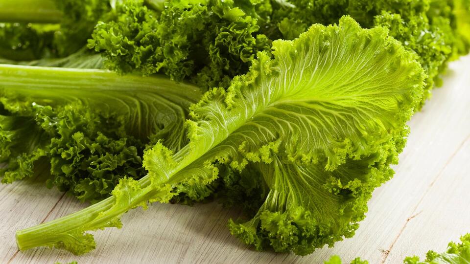 Plants That Secretly Supercharge Your Soil