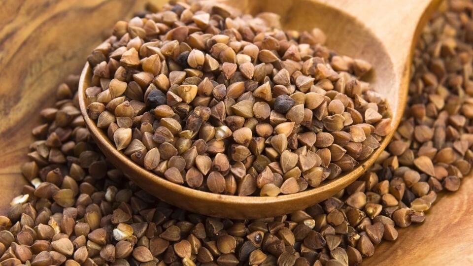 Plants That Secretly Supercharge Your Soil