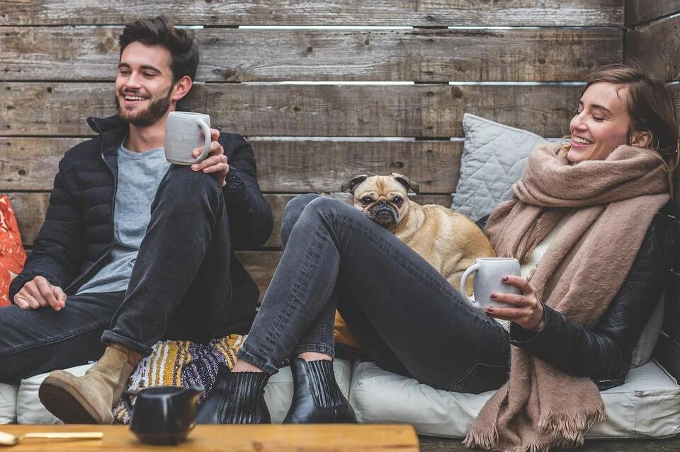 10 Dog Breeds Perfect for Water Signs