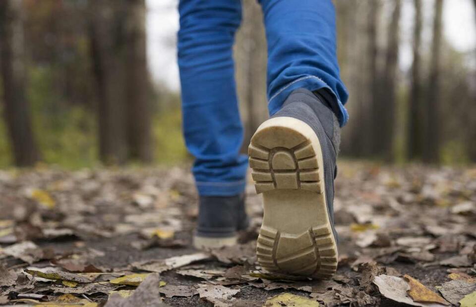 Why We Really Stand on Two Legs