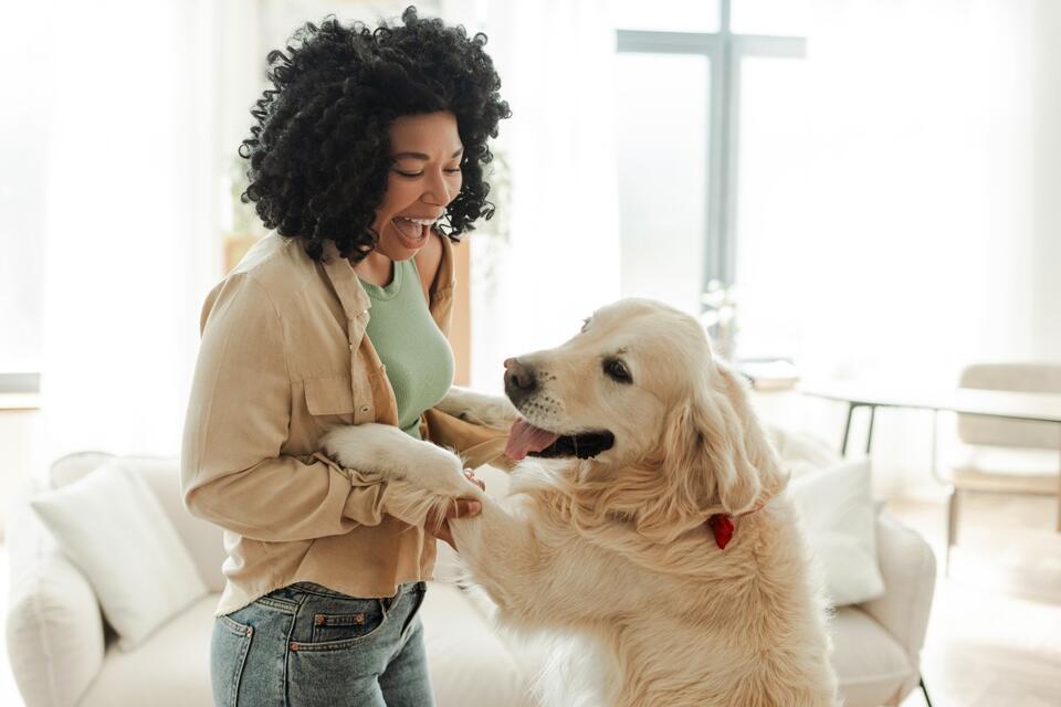Golden Retriever Nails 2000s Dance Moves