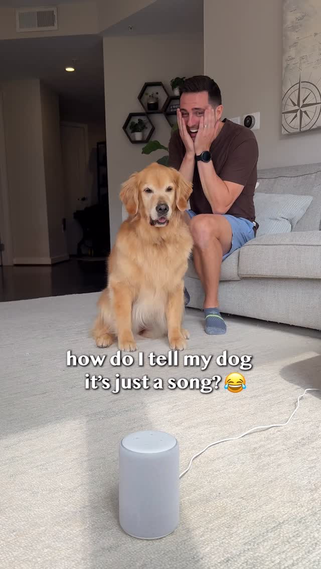 Golden Retriever Nails 2000s Dance Moves