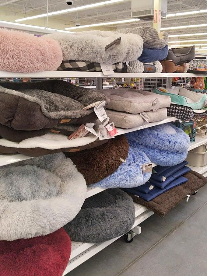Wilmington’s hidden gem for big savings