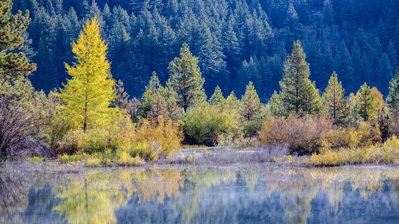 Hidden Tahoe gem: Spooner Lake adventure