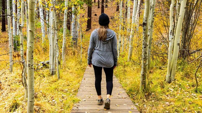 Hidden Tahoe gem: Spooner Lake adventure
