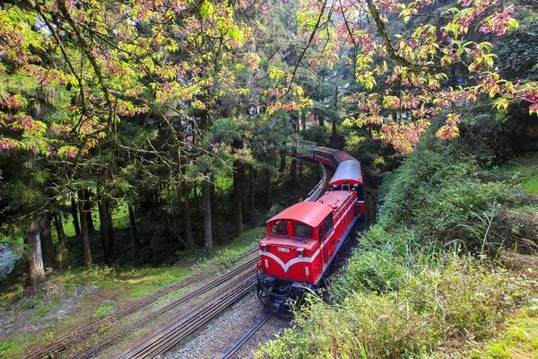 Train Trips That Beat Flying, Hands Down