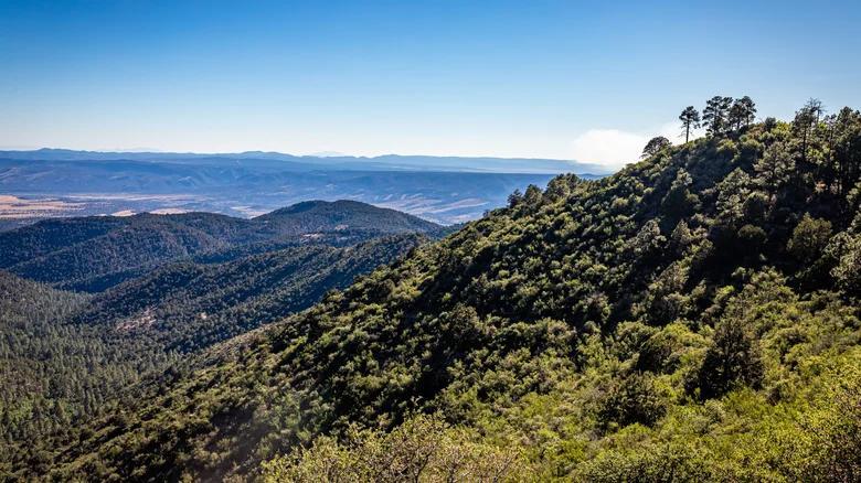 Arizona’s secret mountain escape: Alpine