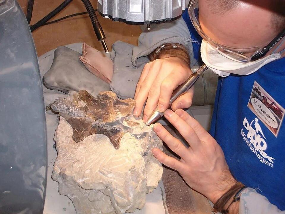 Jurassic T-Rex Twin Found in Asia?!