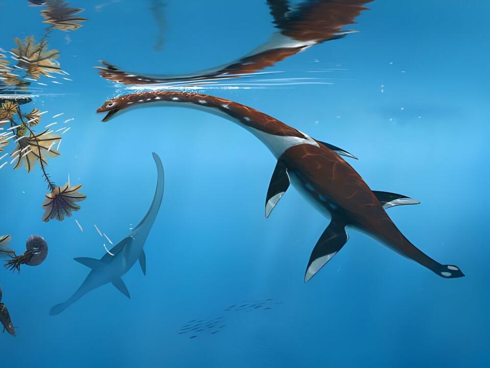 Jurassic Sea Monster Was Hiding in Plain Sight