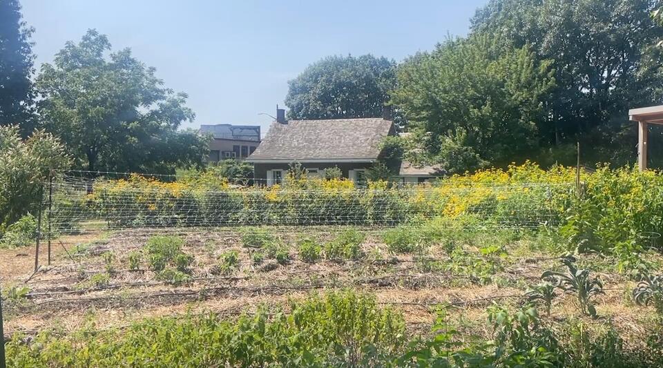 Brooklyn teens dig into farming—and their futures