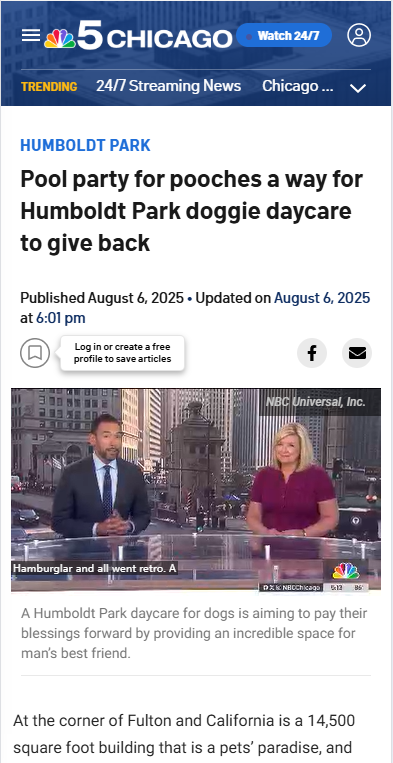 Humboldt Park’s dogs get their own pool party!