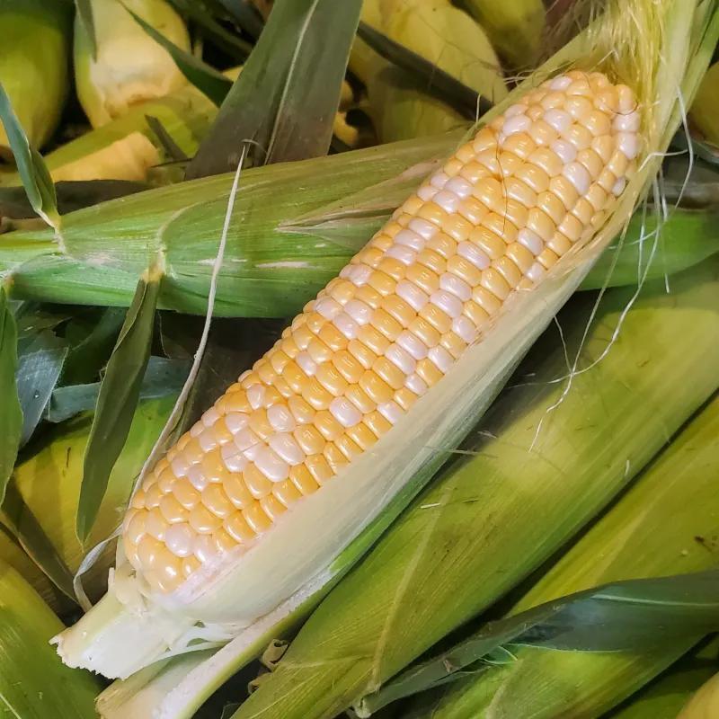 Ohio foods you’ll crave the moment you leave