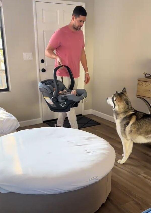 California husky’s sweet secret revealed