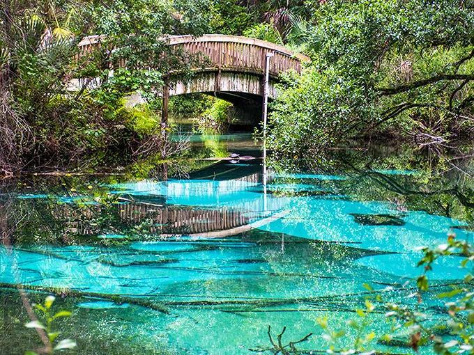 Florida’s secret spring paradise revealed