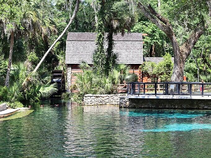 Florida’s secret spring paradise revealed