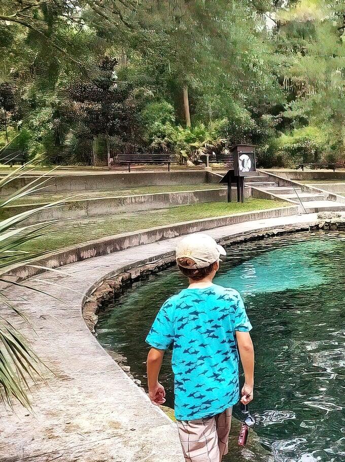 Florida’s secret spring paradise revealed