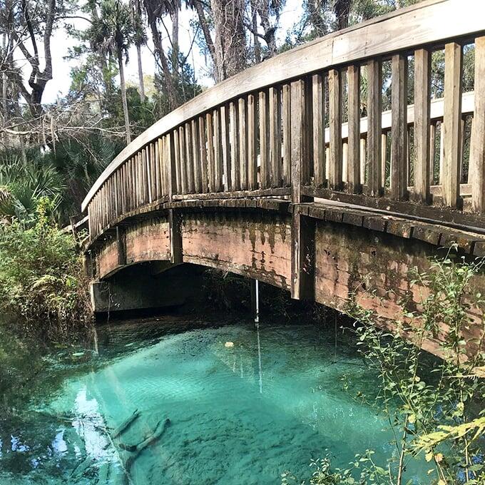 Florida’s secret spring paradise revealed