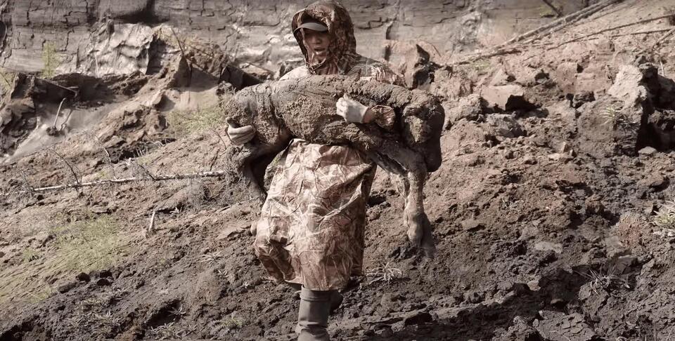 Ancient Horse Found Frozen in Time