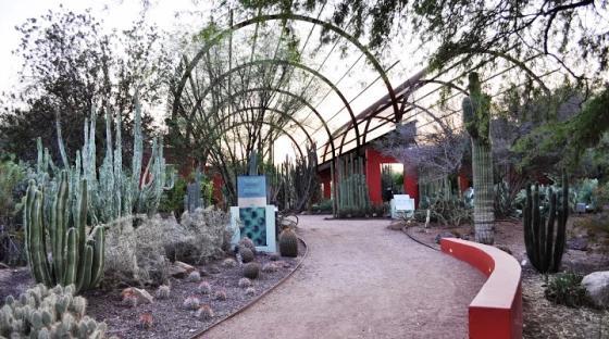 Arizona’s new heat law vs HOA rules: Who wins?