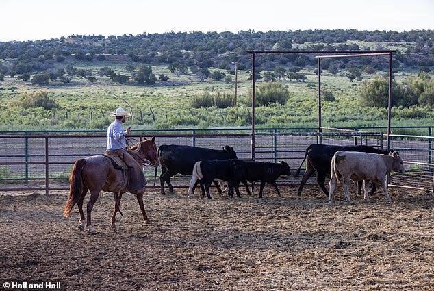 A ranch bigger than most cities just sold