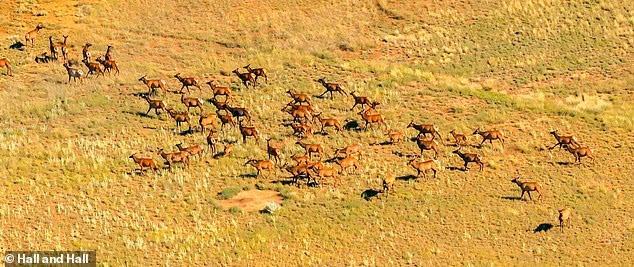 A ranch bigger than most cities just sold