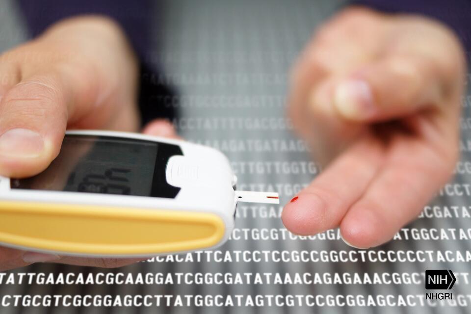 Diabetes Breakthrough: No More Anti-Rejection Meds?