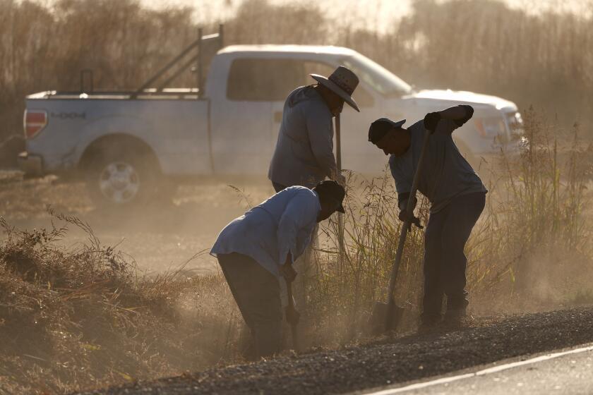 California’s farmworkers still face deadly heat