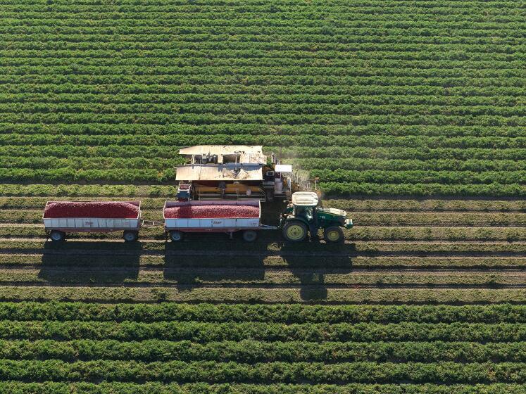 California’s farmworkers still face deadly heat