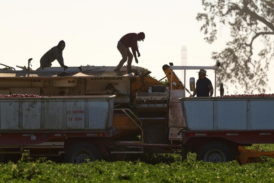California’s farmworkers still face deadly heat