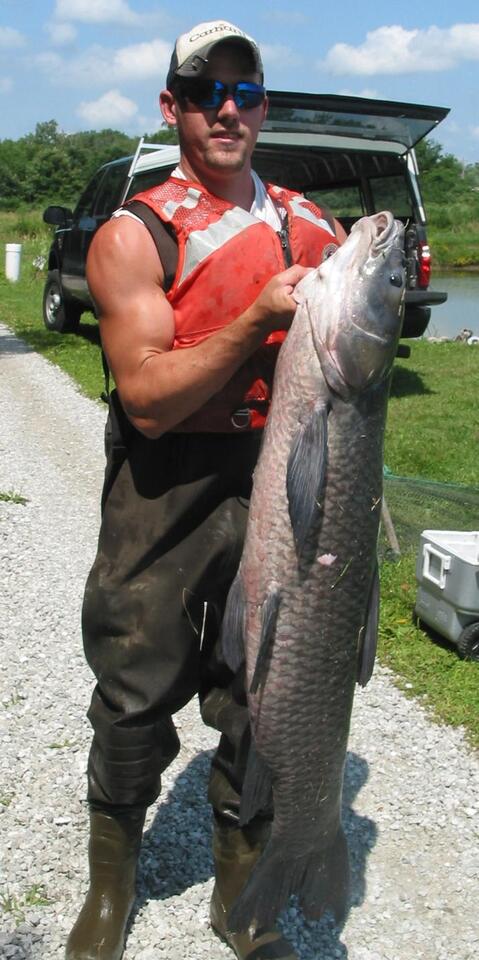 Get Paid to Catch Invasive Fish?!