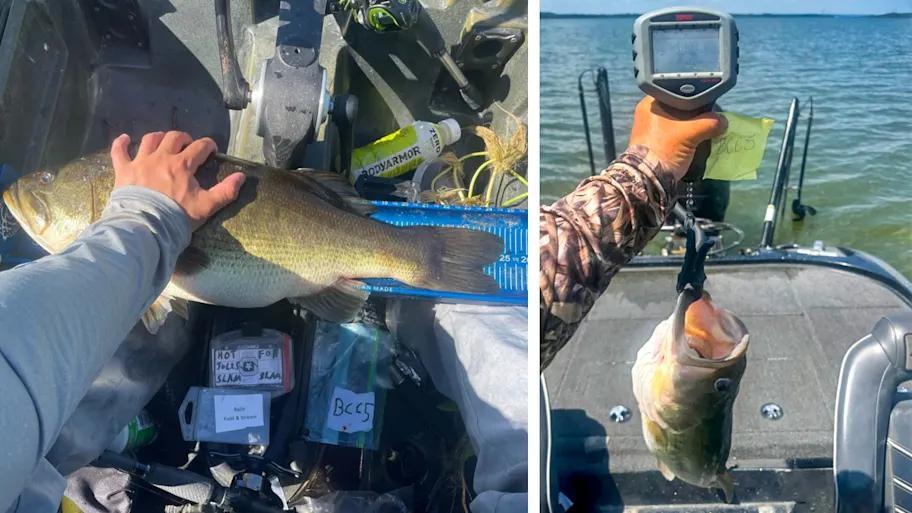 Bass Anglers, This Tourney Is For You!