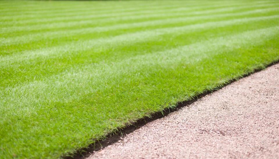 Why Fake Grass Is a Backyard No-No