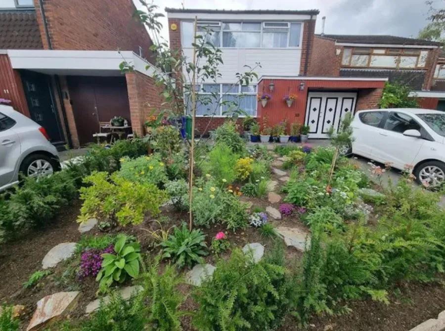 Lawn to Lush: You Have to See This Glow-Up