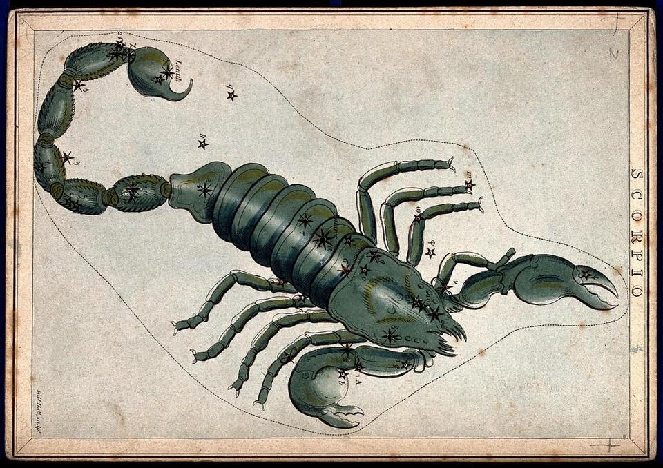 3 Zodiac Signs: Unexpected Reunions Ahead!