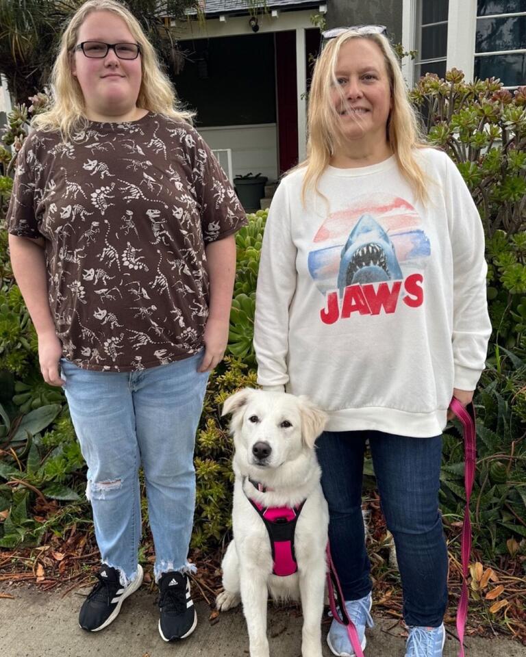 Heartbreak and hope: A stray dog's journey