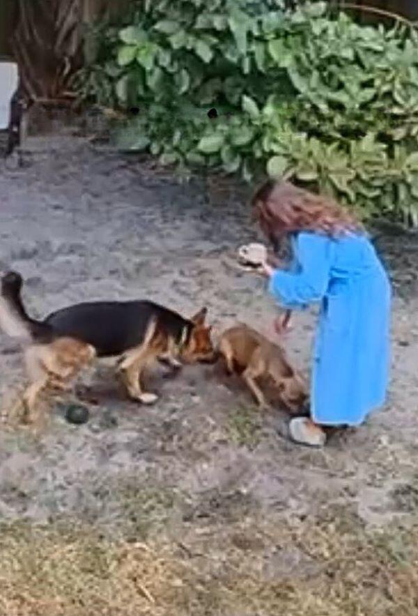 Miami pup mystery: A backyard surprise