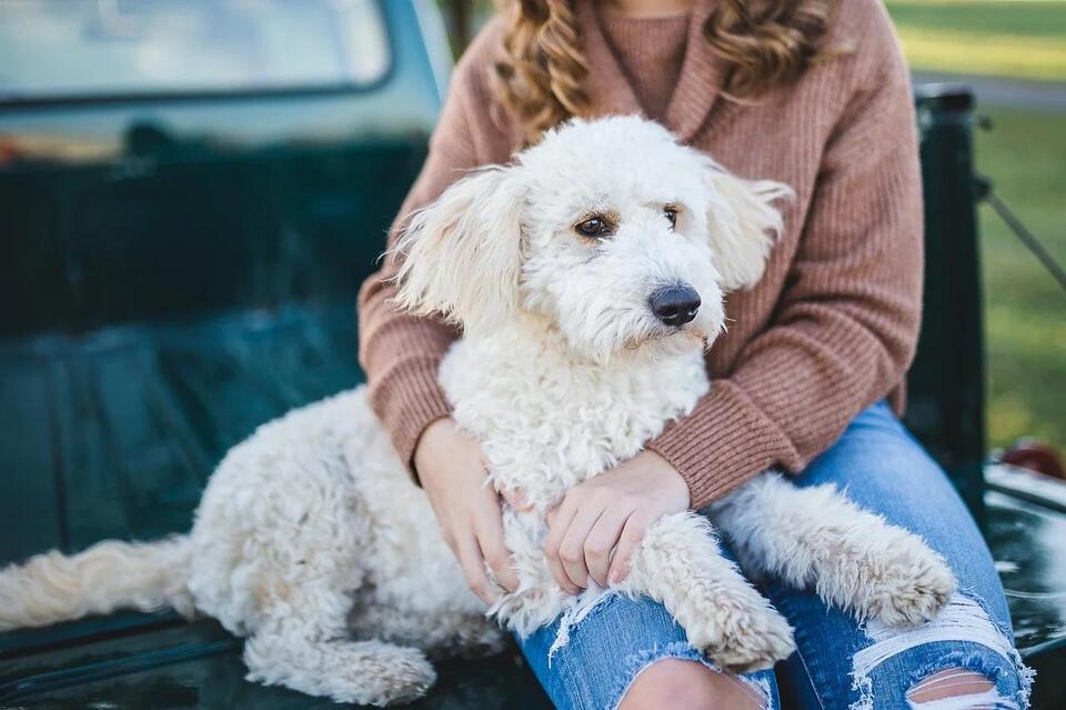 Dog Bonding Quirks No One Warns You About