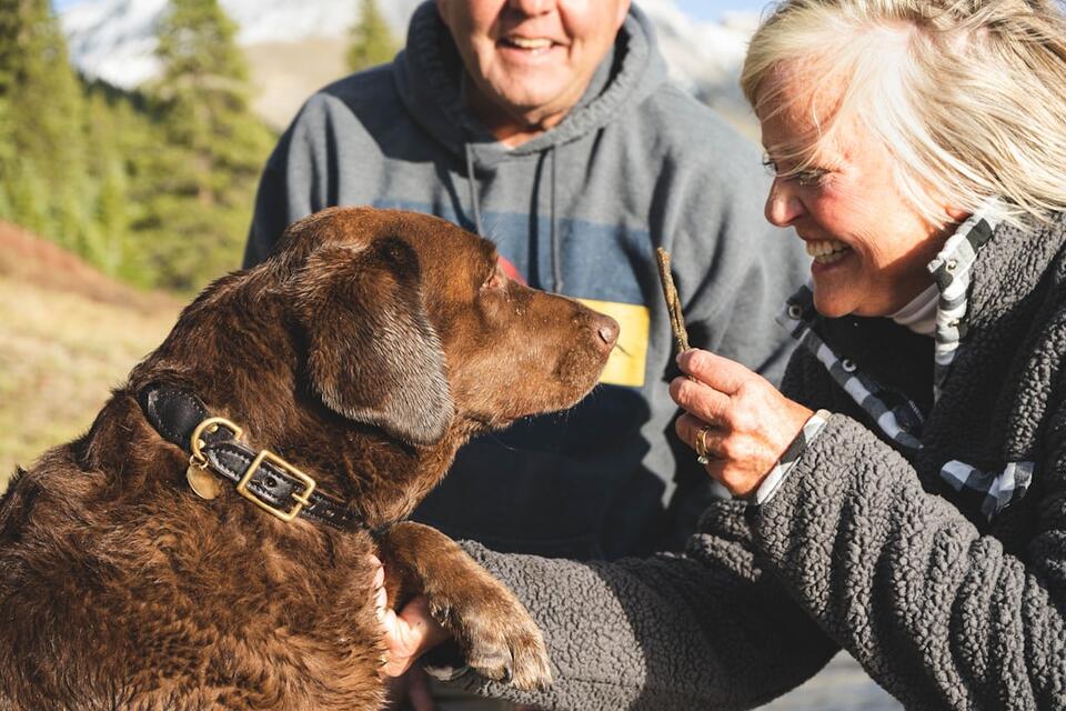 Dog Bonding Quirks No One Warns You About
