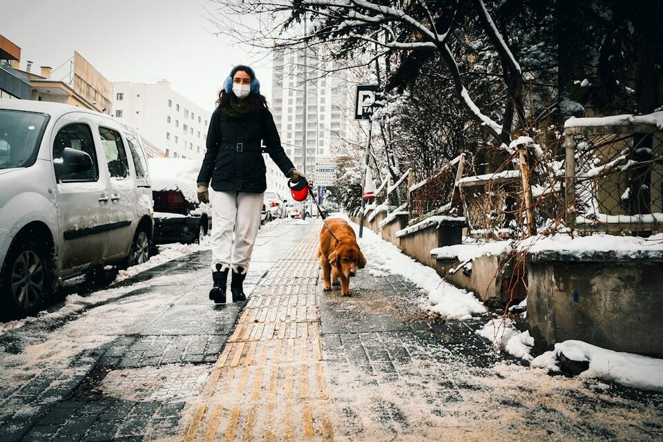 Dog Bonding Quirks No One Warns You About