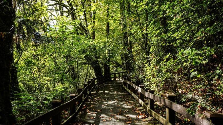 Hidden Washington park with turquoise river views