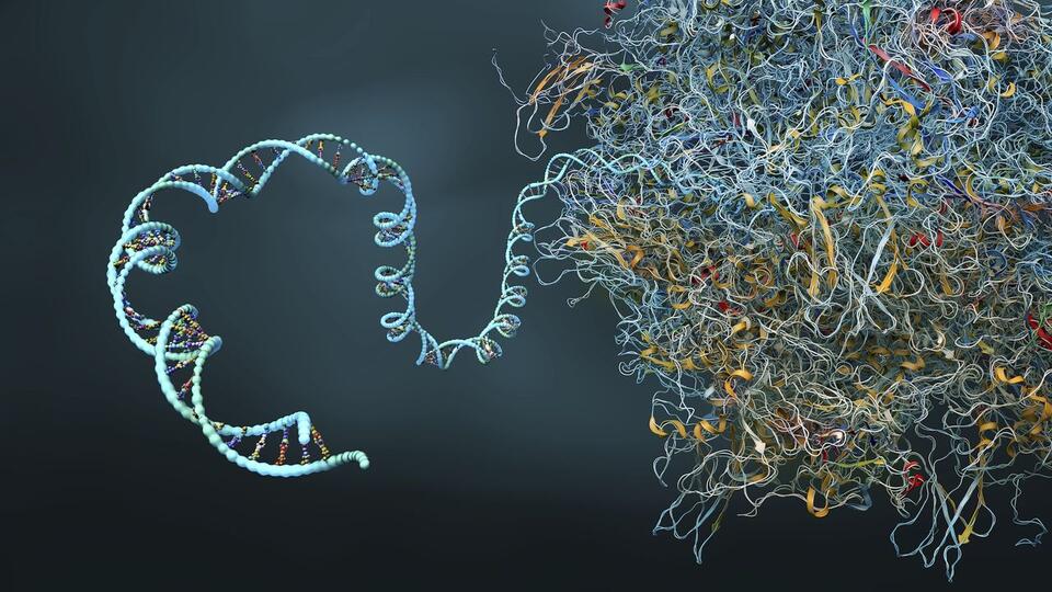 Quantum Leap: IBM vs AI in mRNA Folding