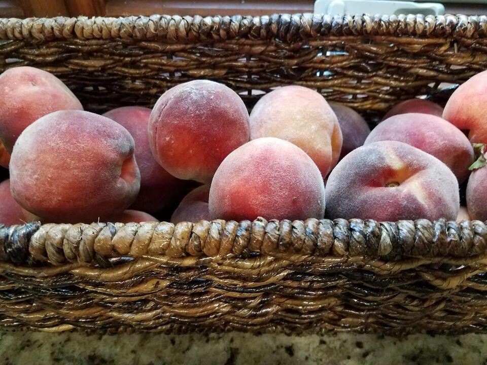 Northeast Ohio’s fruit season faces wild swings