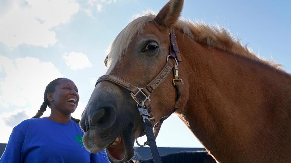 Horseback adventures await in DFW