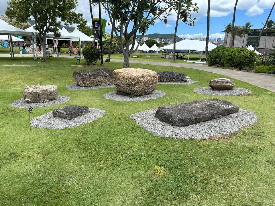 Latte Stones Drama: Bishop Museum’s Plot Twist! 🗿