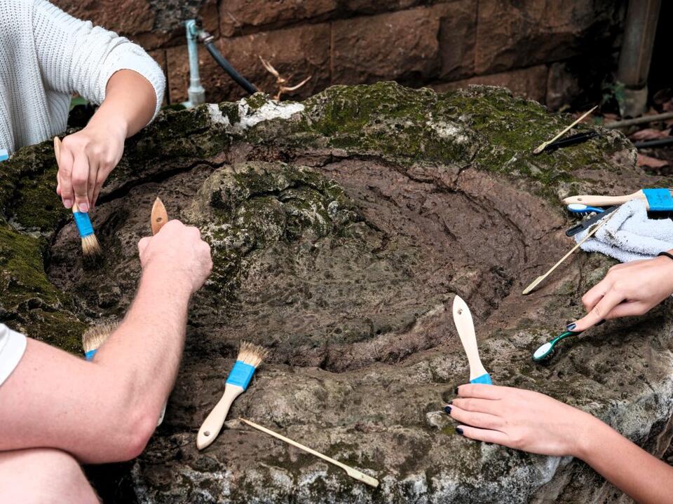 Latte Stones Drama: Bishop Museum’s Plot Twist! 🗿