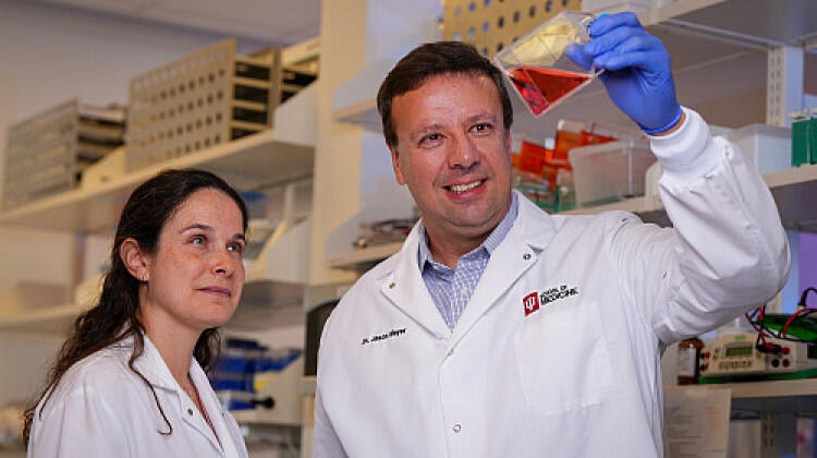 Tiny Lab Brains Are Changing Alzheimer’s Research