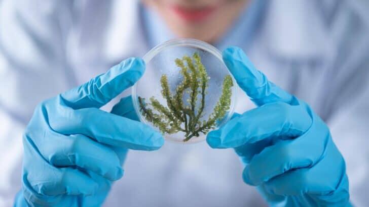 Biotech Breakthroughs You’ll Actually Notice