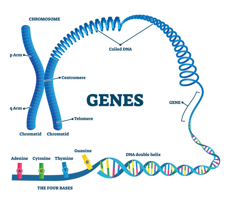 Biotech Breakthroughs You’ll Actually Notice