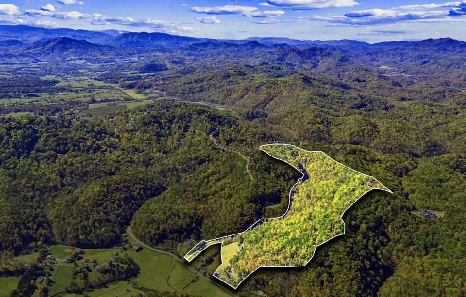 Smoky Mountains dream mansion up for auction
